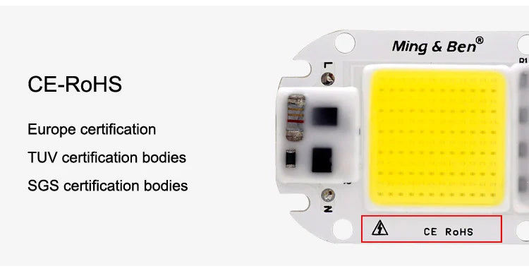 2 Pieces LED COB Bulb Chip 20W 30W 50W Smart IC 110V 230V Chip For DIY Flood Light Day White Cold White Warm White LED Beads